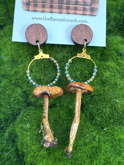 Wild Ontario Mushrooms Earrings
