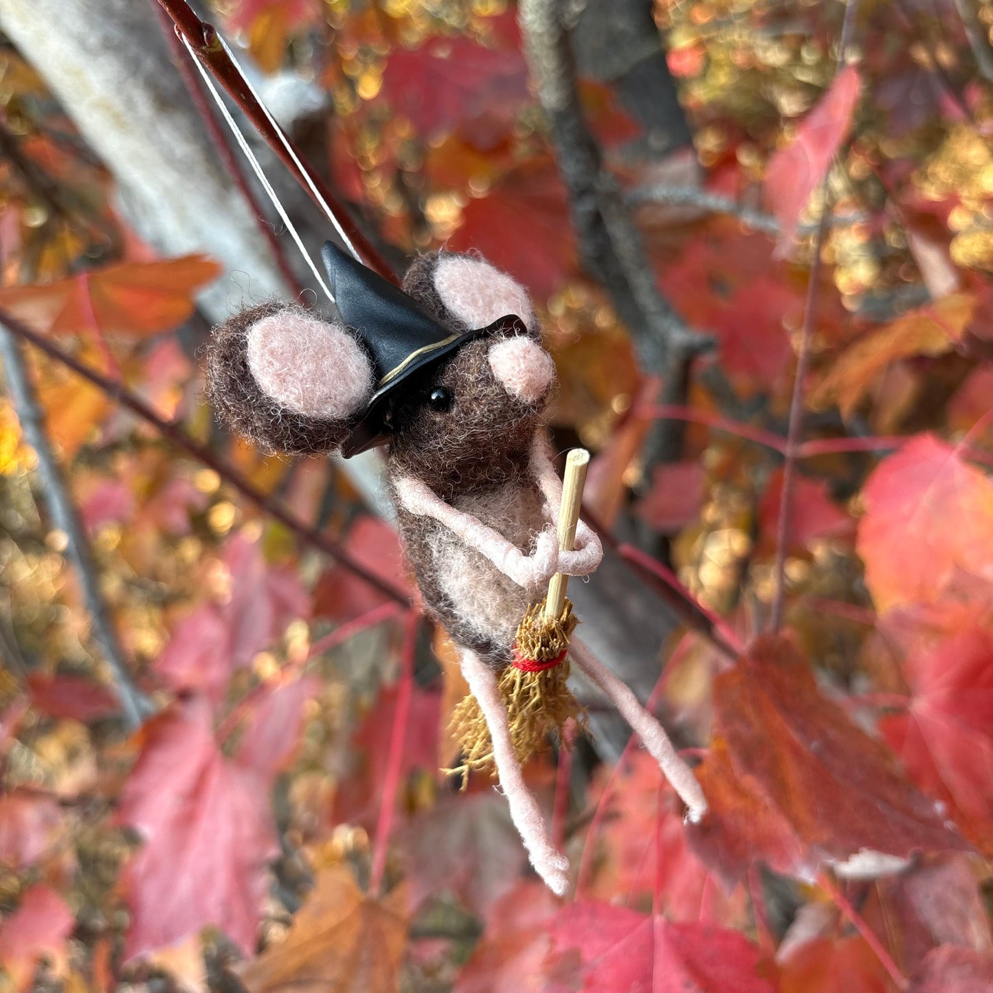 Mouse House Friends & Co.