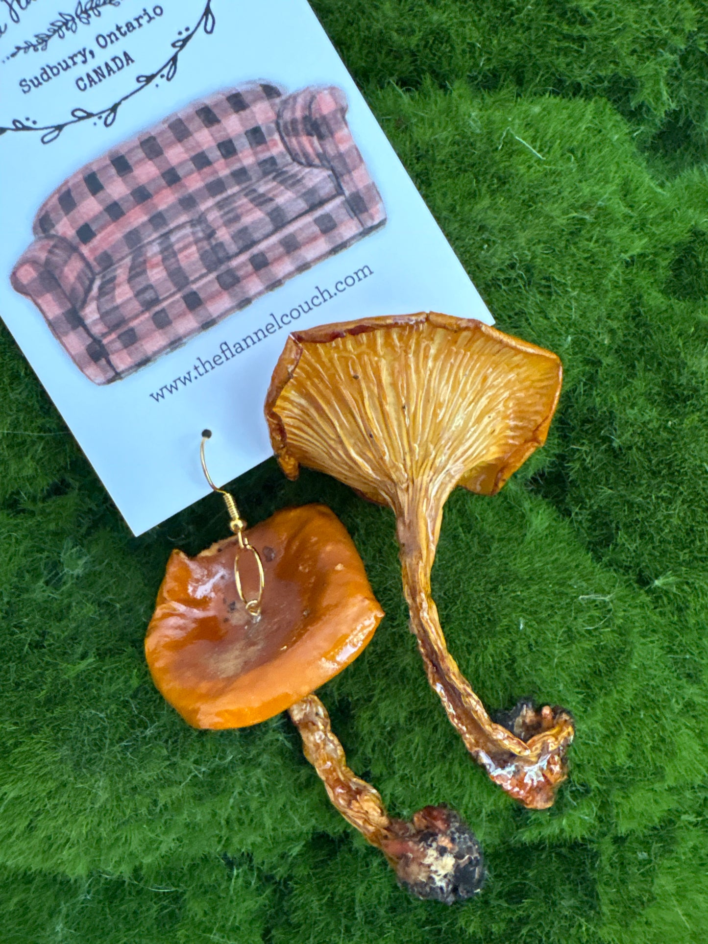 Wild Ontario Mushrooms Earrings