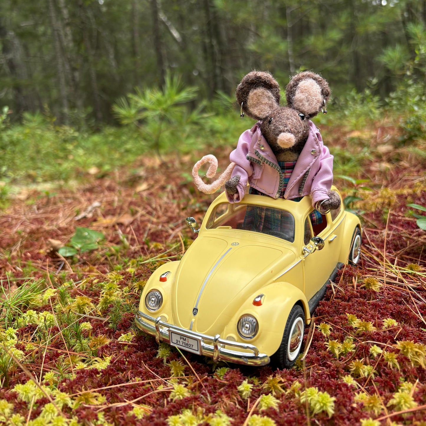 Mouse House Friends & Co.