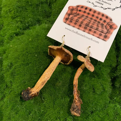Wild Ontario Mushrooms Earrings